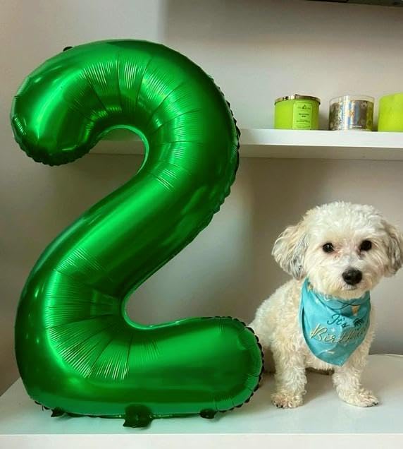 40 Inch Green 23 32 Large Number Balloon, 23 32 Green Birthday Party Decorations, Number Three Foil Balloons for Anniversary Party Graduations Celebration Supplies