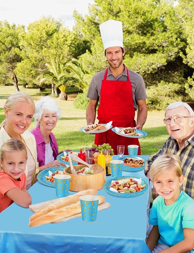 141 Pieces Sky Blue Gold Party Supplies, Disposable Party Decorations Sets Include Paper Plates Napkins Cups, Plastic Forks Knives Spoons, for Baby Shower Birthday Wedding -20 Guests