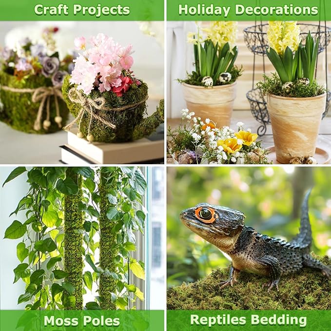 Legigo 3.5 OZ Green Moss for Crafts, Real Forest Moss for Plants Indoor, Table Decorative Centerpieces, Artificial Fairy Garden, Wedding Party Decor, Fake Potted Plants and DIY Craft Projects