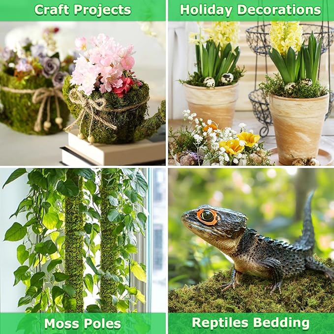 Legigo 2.6 LBS Green Moss for Crafts, Real Forest Moss for Plants Indoor, Table Decorative Centerpieces, Artificial Fairy Garden, Wedding Party Decor, Fake Potted Plants and DIY Craft Projects