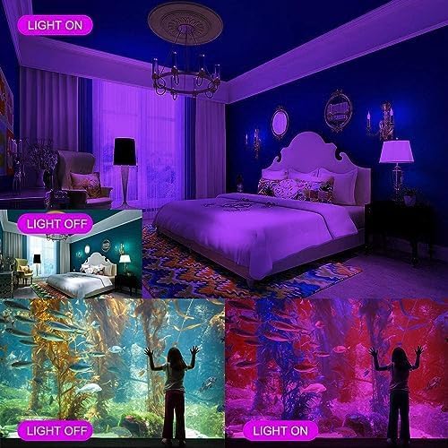 Black Lights 100W LED Flood Light with Plug(6ft Cable), IP66 Waterproof Black Lights for Party, Stage Lighting, Aquarium, Body Painting, Halloween, Neon Glow in The Dark (2 Pack)