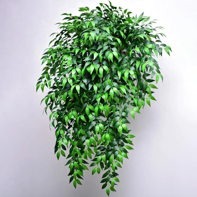 12Pcs Italian Ruscus Greenery Stems Artificial Silk Greenery Leaves Garland Vines Hanging Spray for DIY Wedding Arch Bouquet Filler Table Centerpieces Home Indoor Decor