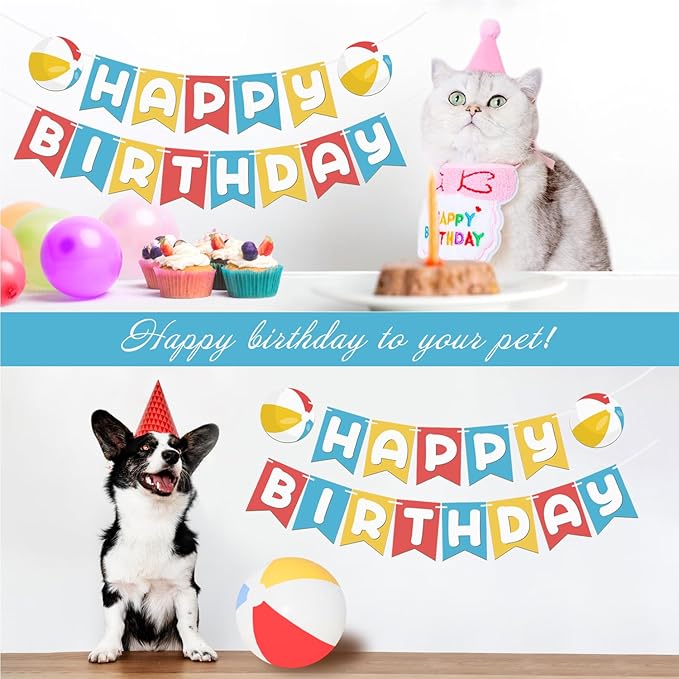 Beach Ball Happy Birthday Banner, 2-Piece Summer Pool Birthday Party Decoration, Beach Ball Colorful Happy Birthday Hanging Banner (Multicolor)