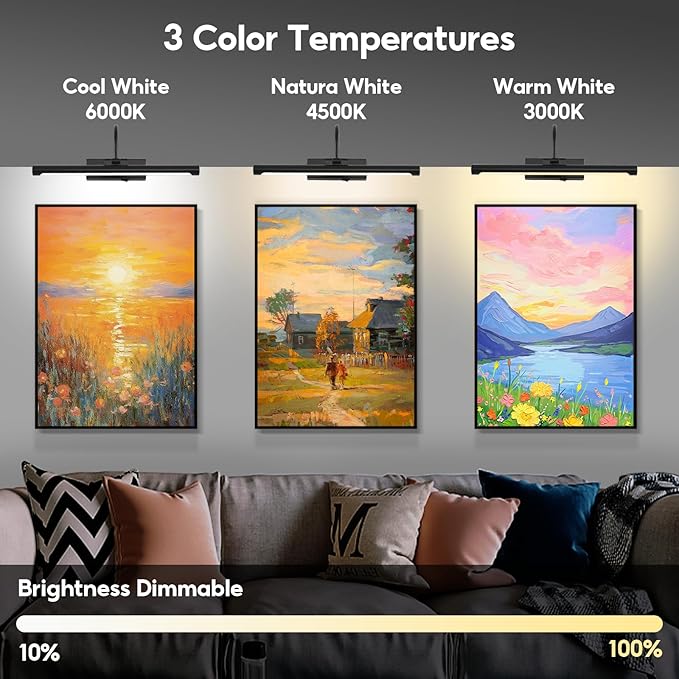 20" Picture Lights for Wall Battery Operated with Remote and Timer, Wireless Art Lights for Paintings, Rechargeable Wall Sconce, Dimmable Lighting for Canvas, Gallery Artwork, Portraits, Black