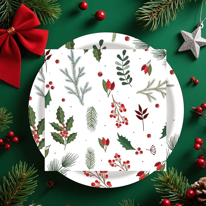40 Pcs Christmas Plates and Napkins Party Supplies, Disposable Seasonal Holly Paper Plates Napkins Tableware Set for Winter Theme Birthday Holiday Party Decorations Serves 20
