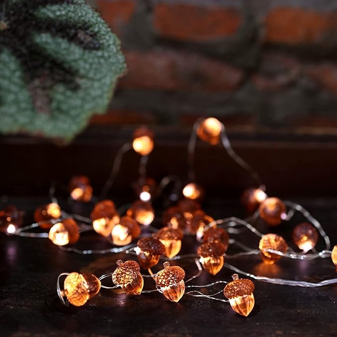 Decorative Fairy Acorn String Lights Thanksgiving Decoration Autumn Garland Cute Novelty Lights 30 LEDs 10 ft Battery Operated for Bedroom Wedding Birthday Harvest Decor