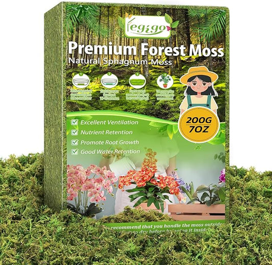 Legigo 7 OZ Green Moss for Crafts, Real Forest Moss for Plants Indoor, Table Decorative Centerpieces, Artificial Fairy Garden, Wedding Party Decor, Fake Potted Plants and DIY Craft Projects