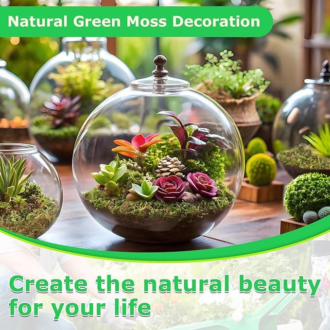 Legigo 2.6 LBS Green Moss for Crafts, Real Forest Moss for Plants Indoor, Table Decorative Centerpieces, Artificial Fairy Garden, Wedding Party Decor, Fake Potted Plants and DIY Craft Projects
