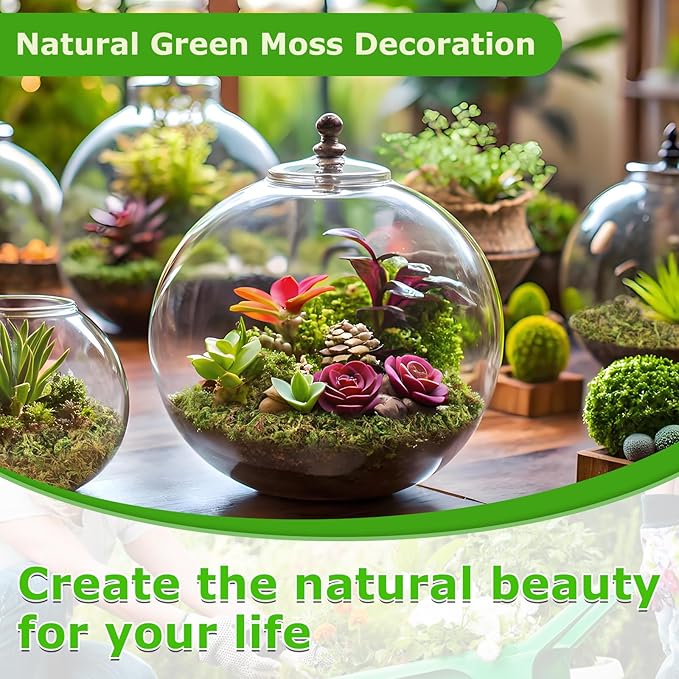 Legigo 3.5 OZ Green Moss for Crafts, Real Forest Moss for Plants Indoor, Table Decorative Centerpieces, Artificial Fairy Garden, Wedding Party Decor, Fake Potted Plants and DIY Craft Projects
