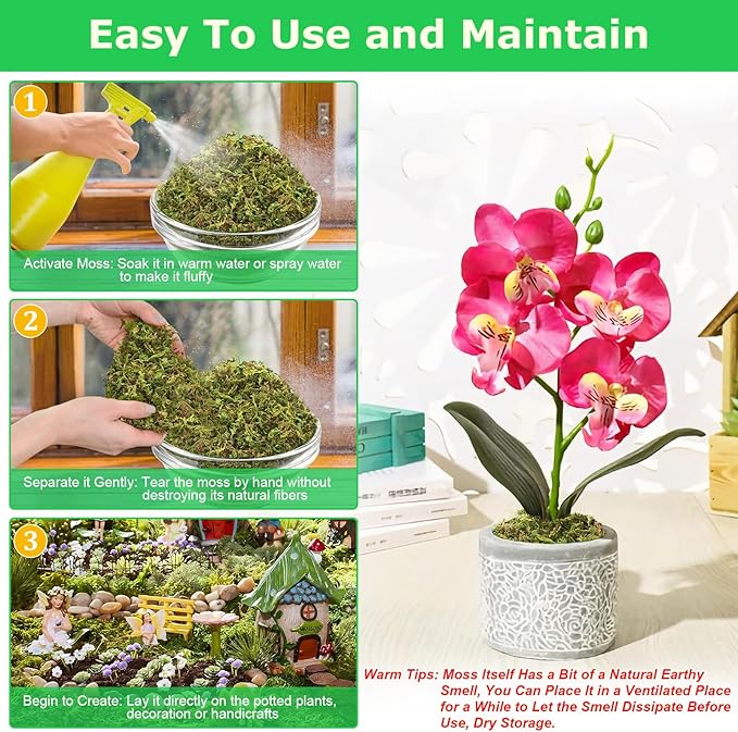 Legigo 2.6 LBS Green Moss for Crafts, Real Forest Moss for Plants Indoor, Table Decorative Centerpieces, Artificial Fairy Garden, Wedding Party Decor, Fake Potted Plants and DIY Craft Projects