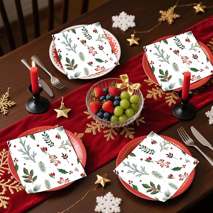 40 Pcs Christmas Plates and Napkins Party Supplies, Disposable Seasonal Holly Paper Plates Napkins Tableware Set for Winter Theme Birthday Holiday Party Decorations Serves 20