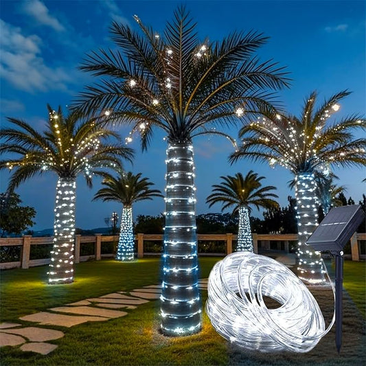 Honche Solar Rope Light 33FT 100L IP65 Weatherproof Outdoor LED Copper Fairy String Tube Lights for Party Garden Porch Yard Home Wedding Vacation New Year Holiday Decoration Lighting(Cool White)