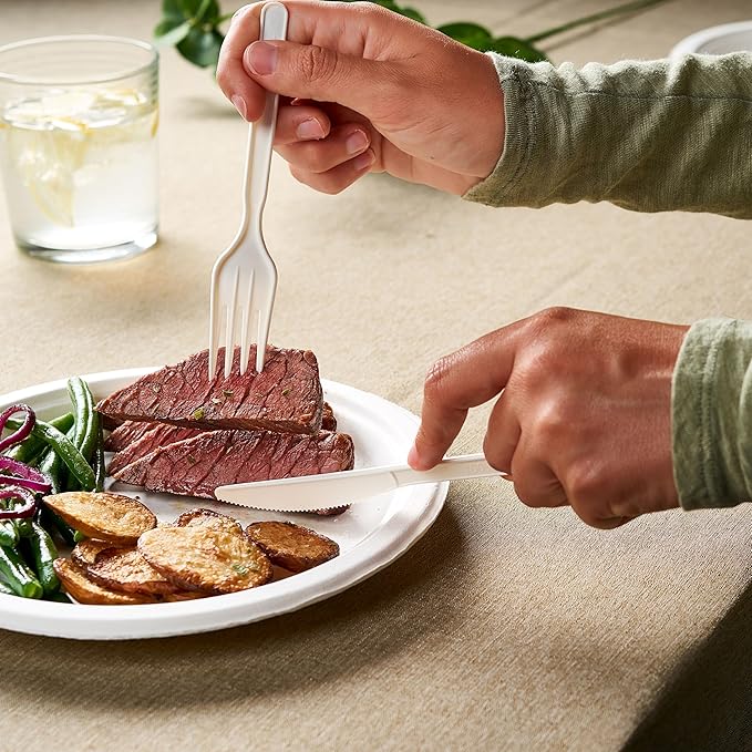 100% Compostable PLA Knives Bulk Pack 400 Pcs Biodegradable Disposable Plastic Cutlery Utensils