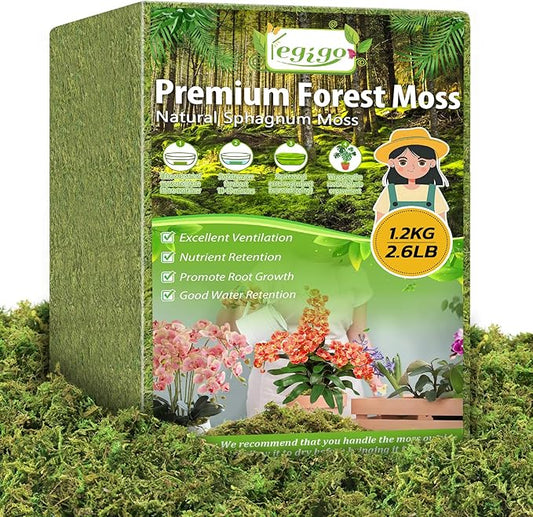 Legigo 2.6 LBS Green Moss for Crafts, Real Forest Moss for Plants Indoor, Table Decorative Centerpieces, Artificial Fairy Garden, Wedding Party Decor, Fake Potted Plants and DIY Craft Projects